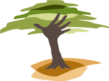 3 Trees – Eden Reforestation Projects - The Couple Challenge Book